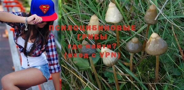 марки nbome Белокуриха