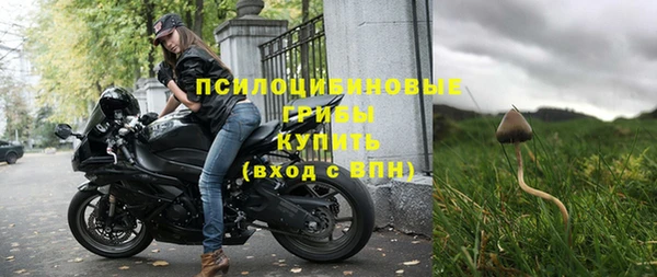 марки nbome Белокуриха
